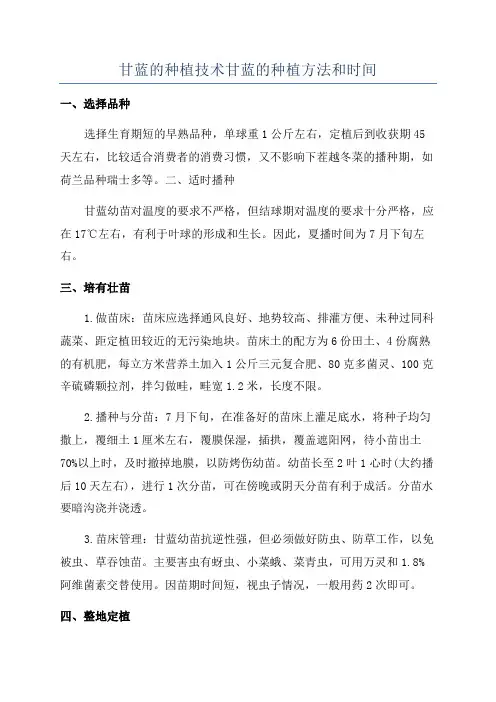 甘蓝的种植技术甘蓝的种植方法和时间