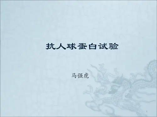 抗人球蛋白试验ppt课件