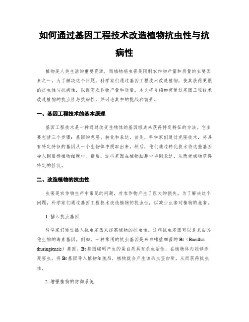 如何通过基因工程技术改造植物抗虫性与抗病性