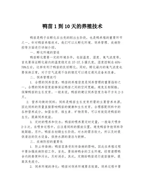 鸭苗1到10天的养殖技术