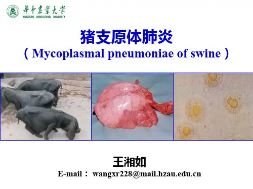 动物传染病学-猪支原体肺炎PPT课件(精品)