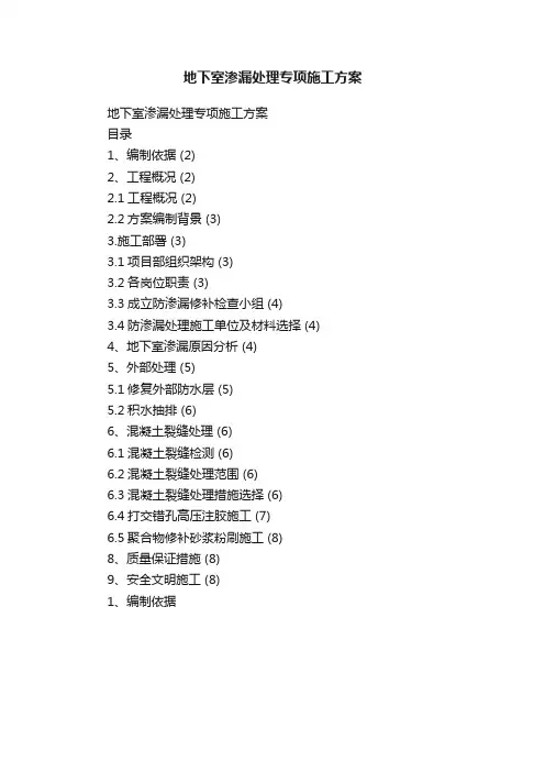 地下室渗漏处理专项施工方案