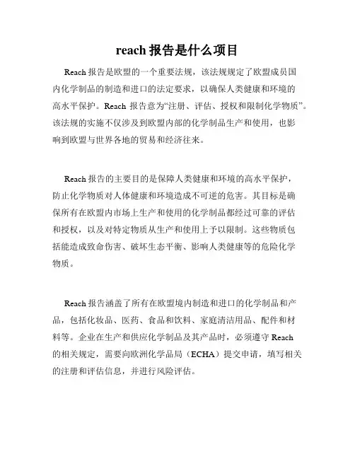 reach报告是什么项目