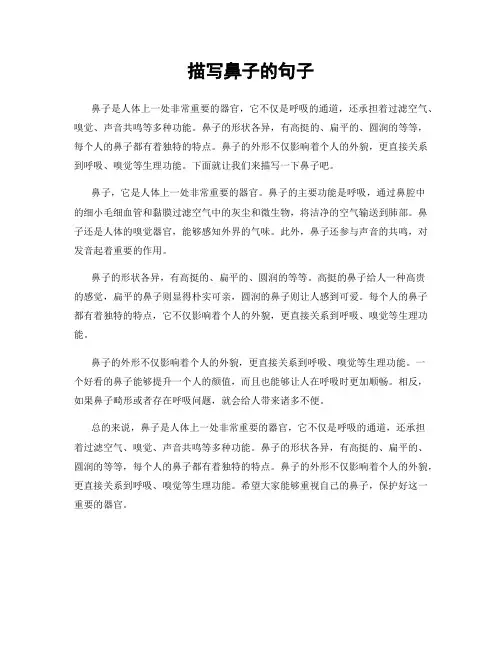 描写鼻子的句子