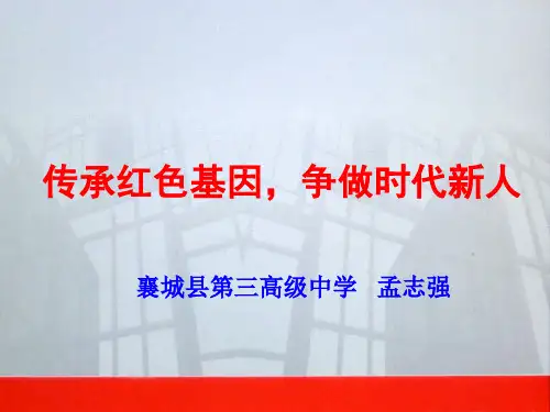 传承红色基因争做时代新人  ppt课件