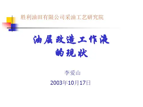 压裂液-专题一