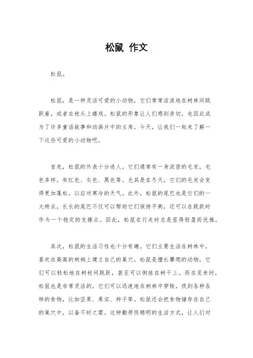 松鼠  作文