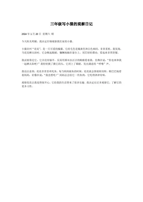 三年级写小猫的观察日记