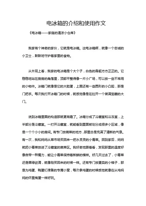 电冰箱的介绍和使用作文