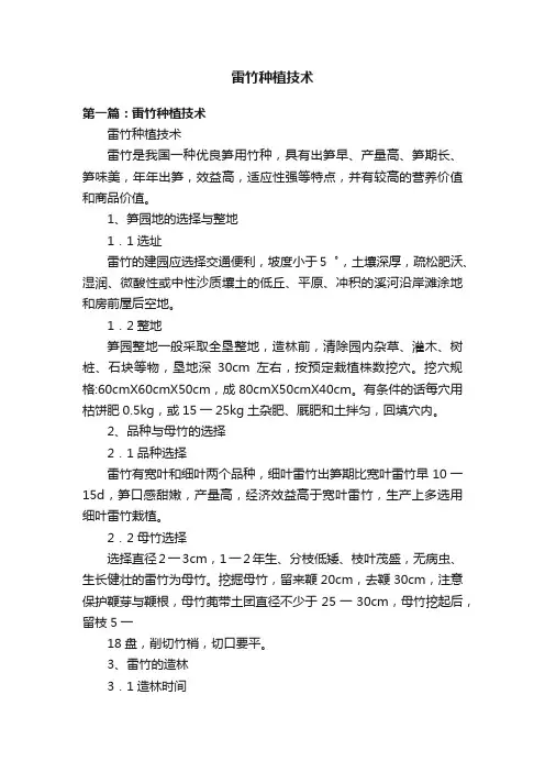 雷竹种植技术
