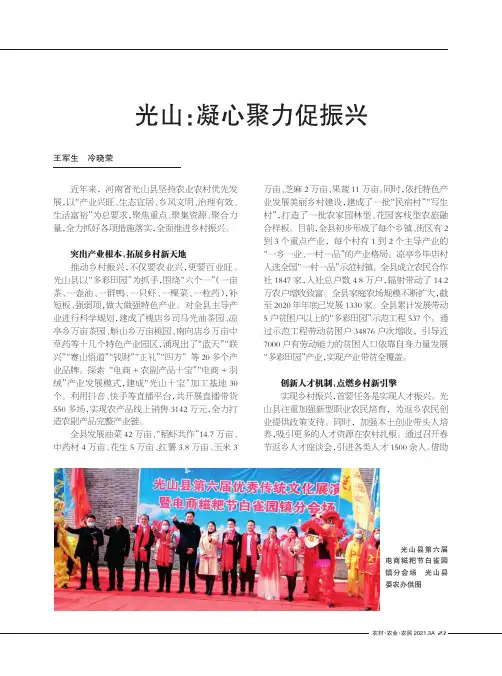 光山凝心聚力促振兴