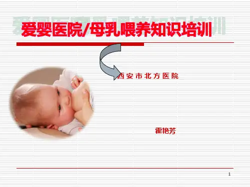 母乳喂养PPT课件