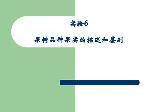实验6    果树品种果实的描述和鉴别