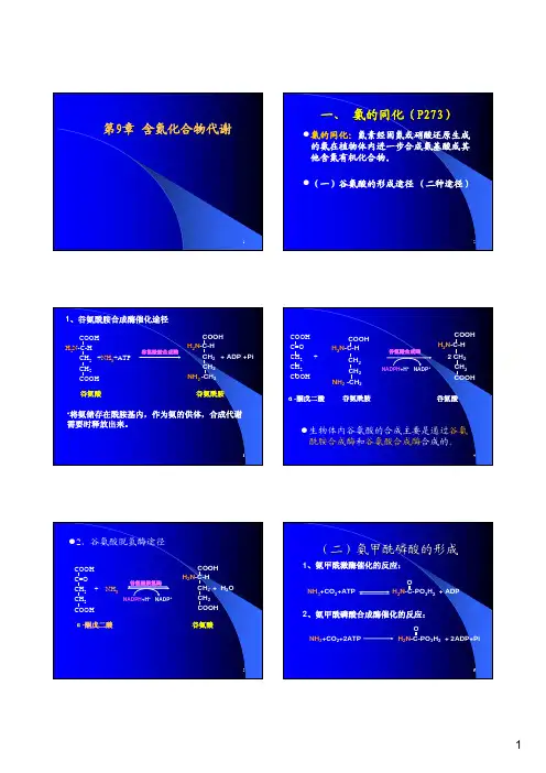 第九章含氮化合物代谢