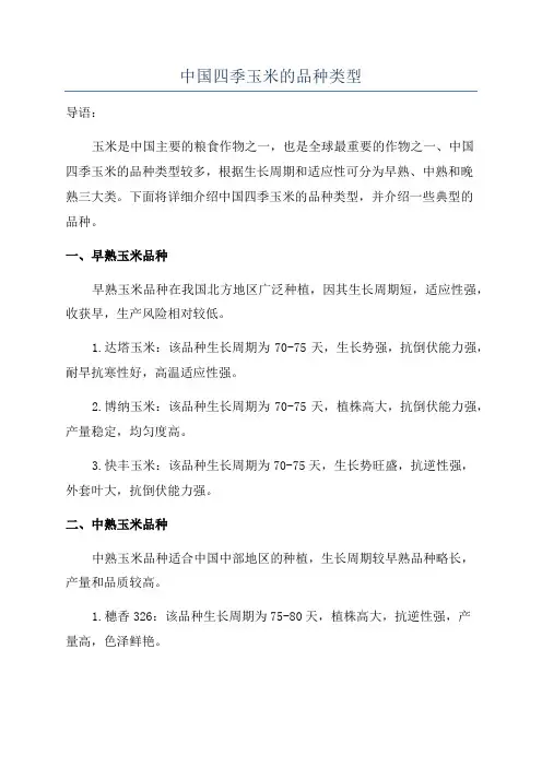 中国四季玉米的品种类型
