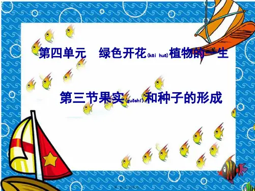 七年级生物上册《果实和种子的形成》课件