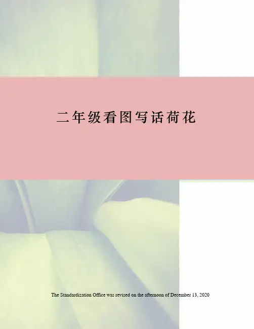 二年级看图写话荷花