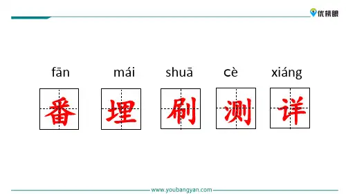 【精品语文教学课件】2020年最新版三年级上册语文课件 5  琥珀新课标改编版_6-10