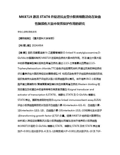 MK8719激活STAT6并促进抗炎型小胶质细胞活化在缺血性脑损伤大鼠中发挥保护作用的研究