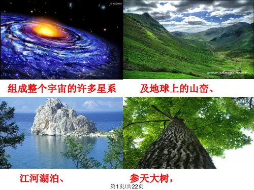 杆秤磅秤案秤PPT课件