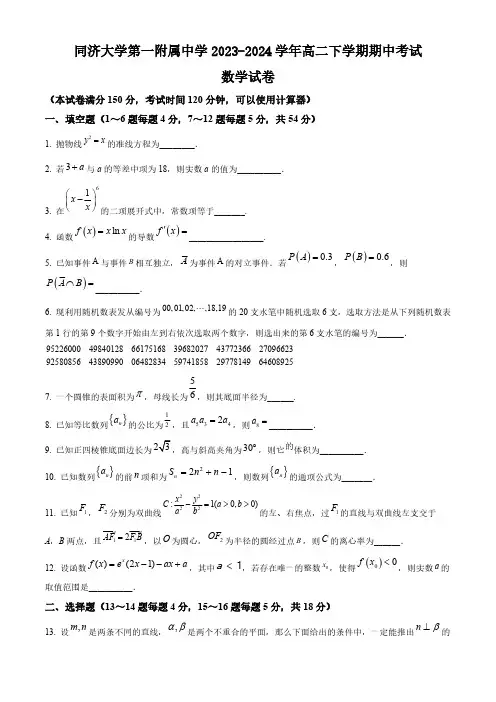 上海市同济大学第一附属中学2023-2024学年高二下学期期中考试数学试题(含简单答案)