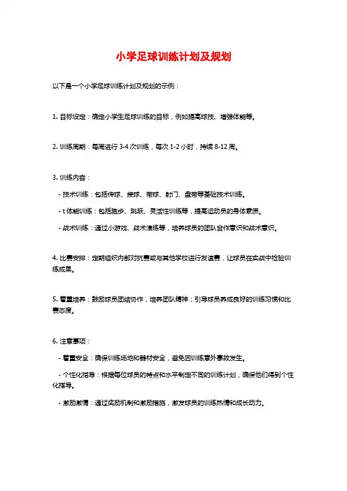 小学足球训练计划及规划
