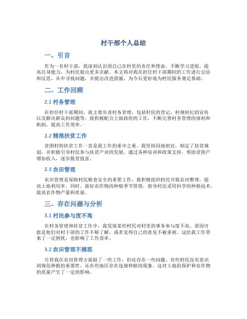 村干部个人总结