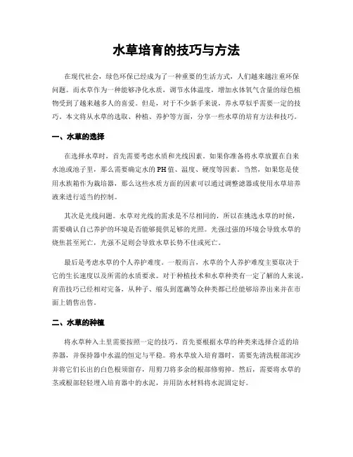 水草培育的技巧与方法