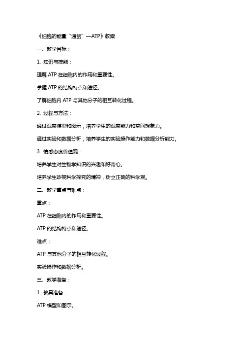《细胞的能量“通货”—ATP》教案