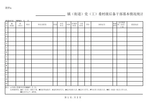 村级后备干部基本情况统计表(2)