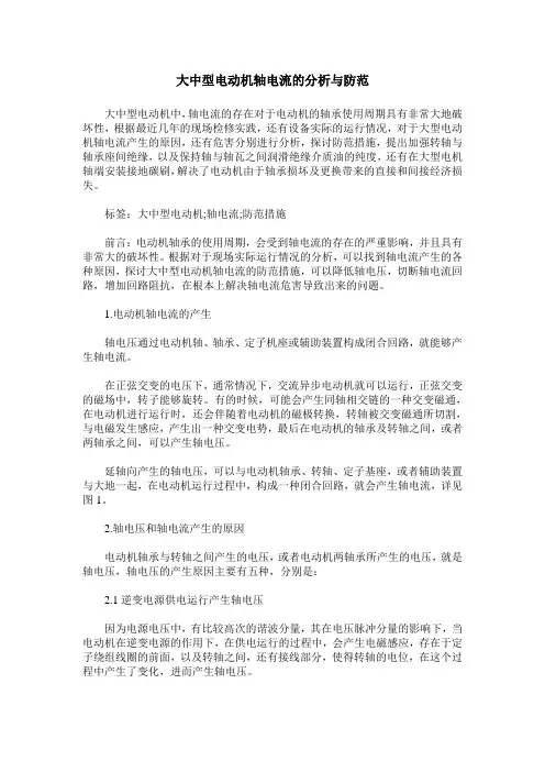 大中型电动机轴电流的分析与防范