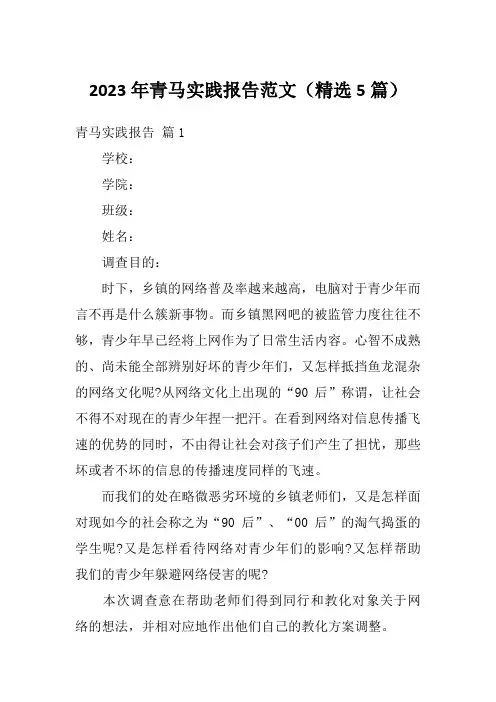2023年青马实践报告范文(精选5篇)