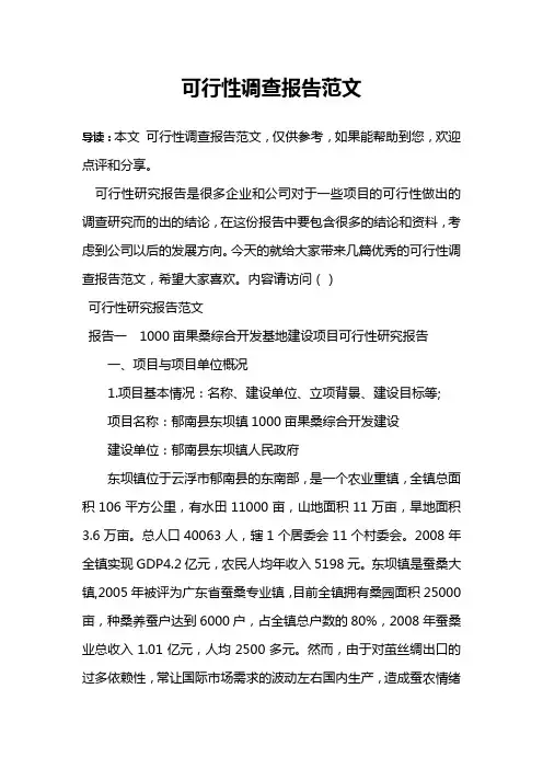 可行性调查报告范文