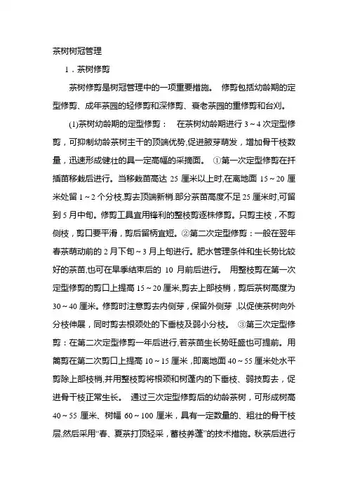 茶树树冠管理