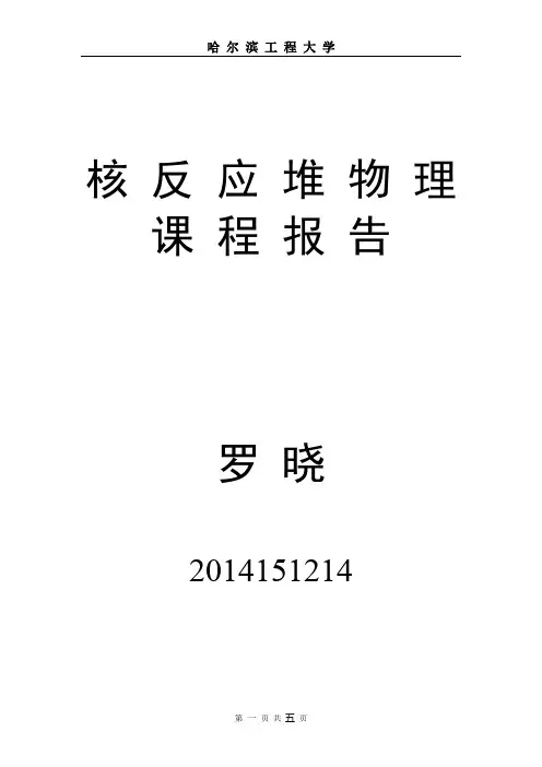 核反应堆物理课程报告