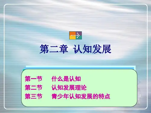 第二章认知发展案例