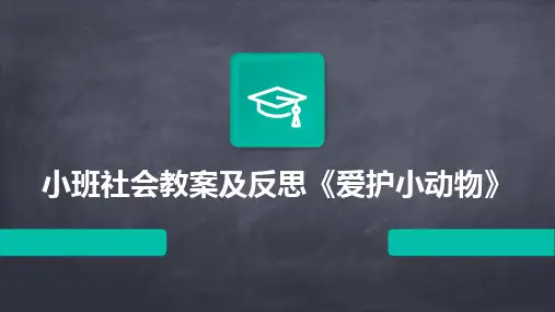 2024小班社会教案及反思《爱护小动物》