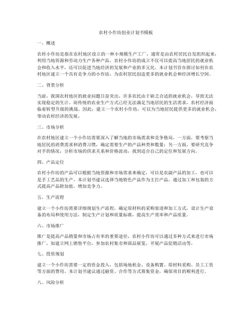 农村小作坊创业计划书模板
