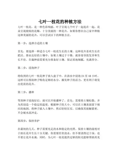 七叶一枝花的种植方法