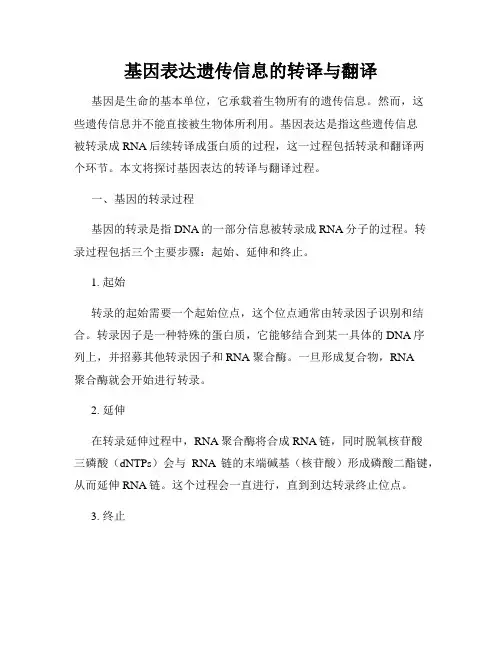 基因表达遗传信息的转译与翻译