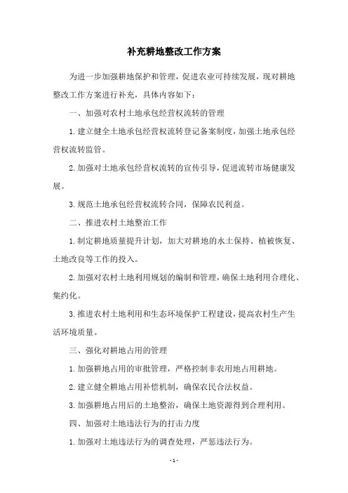 补充耕地整改工作方案