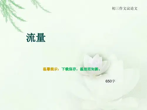 初三作文议论文《流量》650字