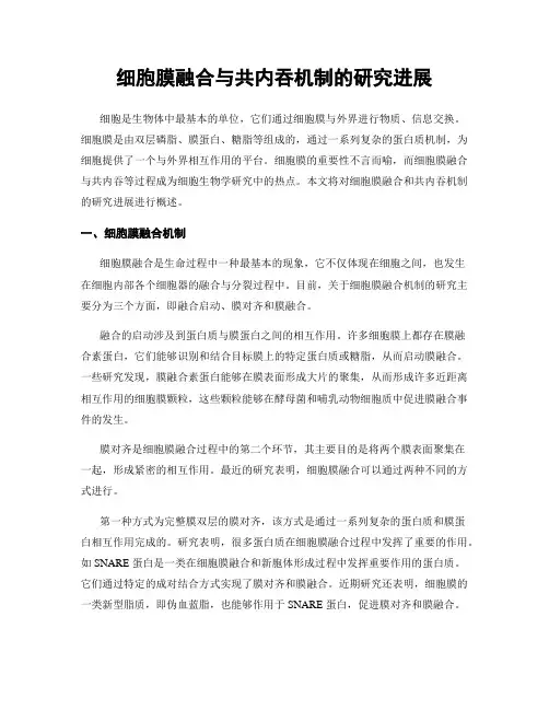细胞膜融合与共内吞机制的研究进展