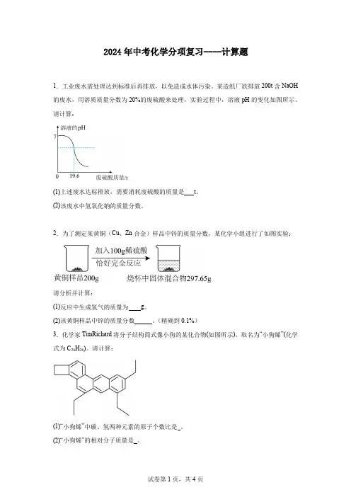 2024年中考化学分项复习----计算题