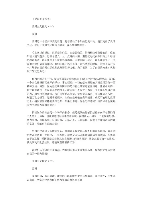 爱国主义作文16篇完整版