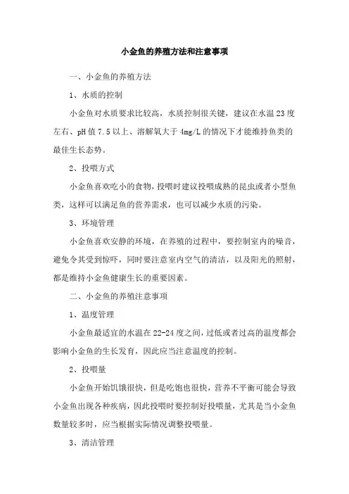 小金鱼的养殖方法和注意事项