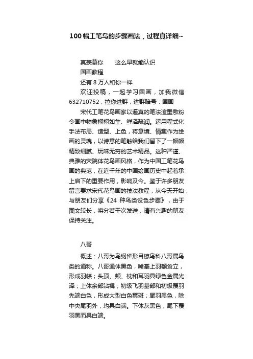 100幅工笔鸟的步骤画法，过程真详细~