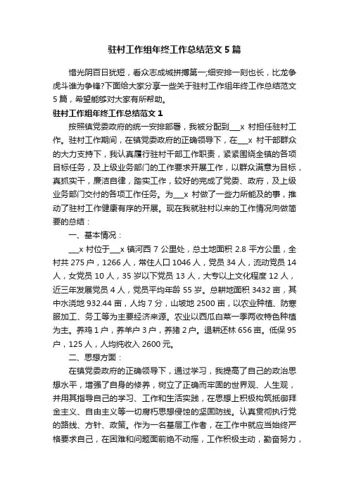 驻村工作组年终工作总结范文5篇