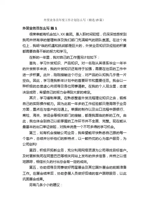 外贸业务员年度工作计划怎么写（精选19篇）