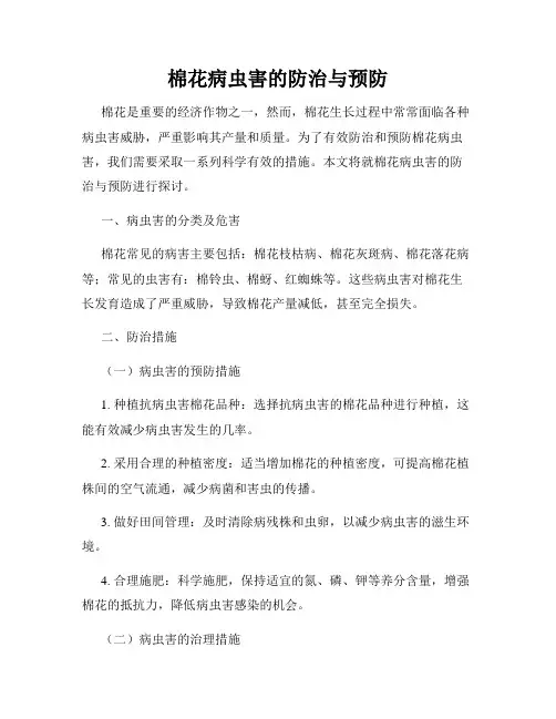 棉花病虫害的防治与预防